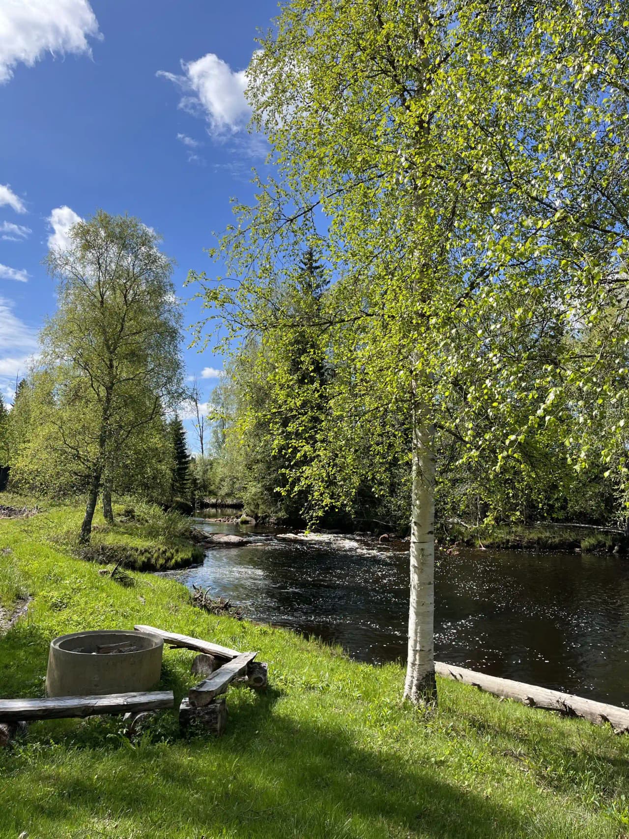 En grönskande campingplats vid vattnet, omgiven av träd och frodig vegetation.