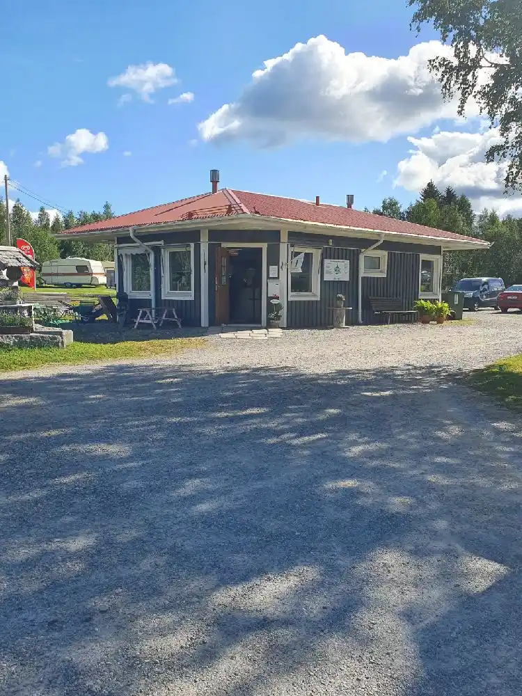 En solig dag vid Hotings camping med flera bilar parkerade längs en uppfart omgiven av träd som ger skugga.