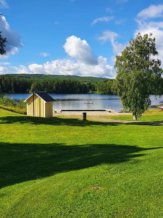 En somrig vy vid Hotings camping med en frodig äng som sluttar ner mot en glittrande sjö, omgiven av grönska och skog i bakgrunden.