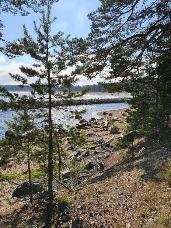 Bild av Sörfjärdens camping, med frodig vegetation och stenig terräng. Skogen sträcker sig mot kustlinjen där havets bankar möter stranden, vilket skapar en naturskön vildmarksmiljö.