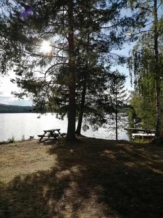 En bild av en sjö med en strandkant och en utomhusbänk. I bakgrunden syns en lugn vattenspegel omgivet av träd. En picknickbord och trädstockar finns vid strandkanten, vilket ger en idyllisk plats för avkoppling vid Snibbens Camping.