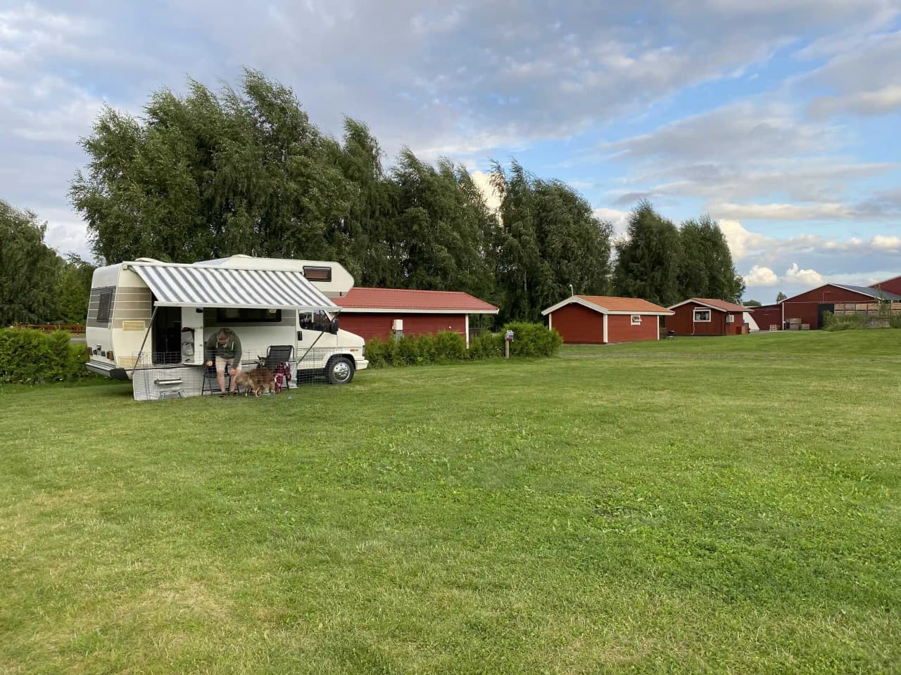 En lantlig gård med en grönskande gräsmatta, flera träd som ger skugga och små uthus byggnader synliga i bakgrunden vid Gripenbergs gård.