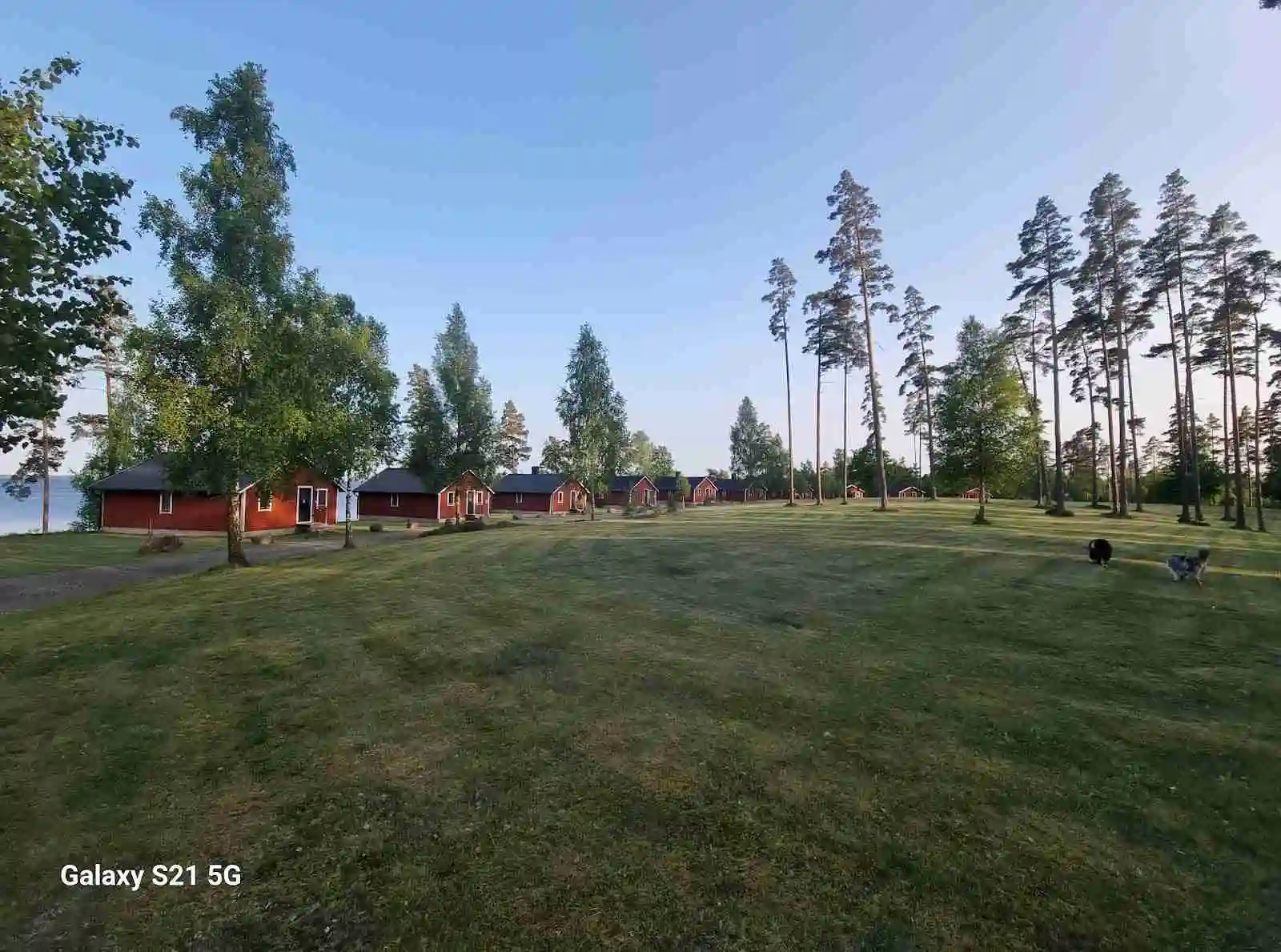 Alt-text: En naturskön vy över Löckna Camping med gröna gräsmattor, träd i bakgrunden och en liten stuga, omgivet av ett lantligt landskap.