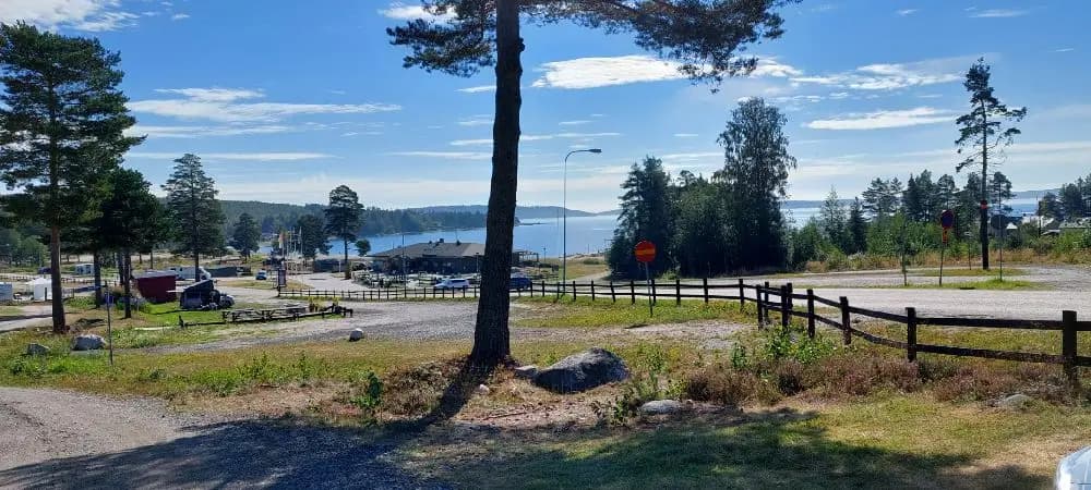 En vidsträckt campingplats med stugor vid stranden, omgiven av ståtlig barrskog och en klarblå himmel med vita moln. I förgrunden syns en grusväg och gröna planteringar.