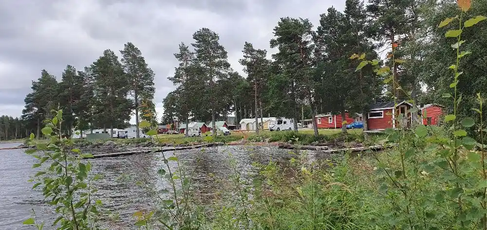 En naturskön vy av en lugn sjö vid Camp Viking, omgiven av grönskande våtmarker och skog.