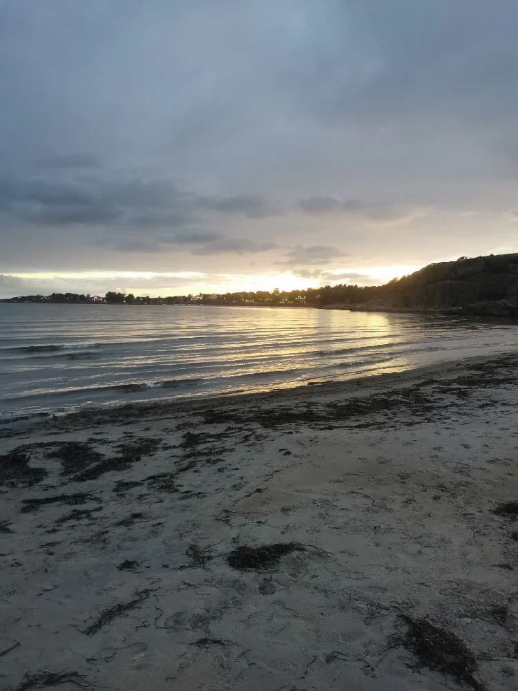 En bild av Åsa Camping & Havsbad som visar en solig strandmiljö vid kusten. Blå himmel med moln och ett vidsträckt hav syns vid horisonten.