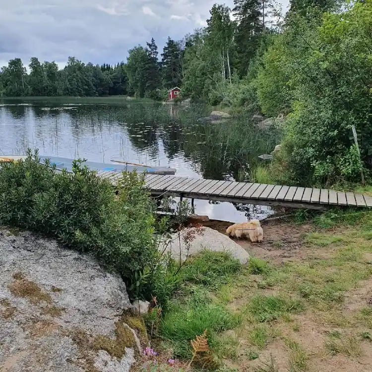 En lugn sjö omgiven av frodig grönska och träd, med strandbankar som sträcker sig ut i vattnet. En fridfull naturmiljö vid Abrahams Camp.