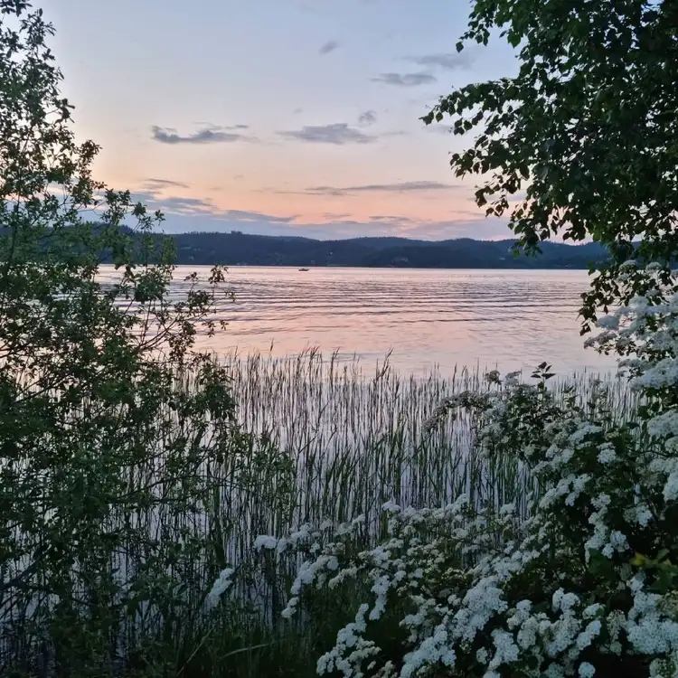 En stilla sjö i skymning omgiven av frodig natur. Solnedgångens svaga gyllene ljus speglas i vattnet, vilket skapar en rogivande och fridfull atmosfär vid Lövekulle camping.