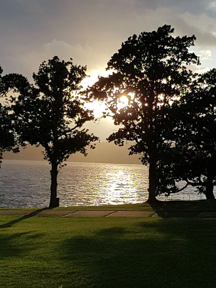 En naturskön bild av Lövekulle camping, med solnedgångens varma sken som filtreras genom trädens löv och grenar, och en horisont som sträcker sig över sommarlandskapet.