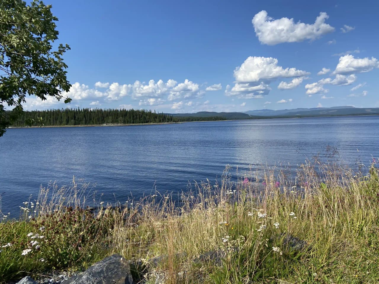 En vacker sommarvy vid Kallsedet camping med en blå himmel, moln och en glittrande vattenyta omgiven av naturskönt landskap.