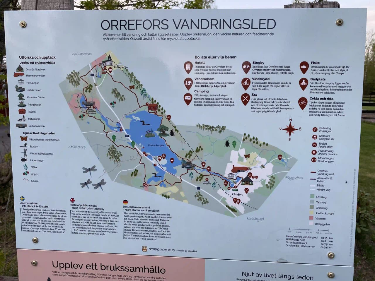 En grönskande parkmiljö på Orrefors camping, med välklippta gräsmattor och tallar i bakgrunden under en klarblå himmel.