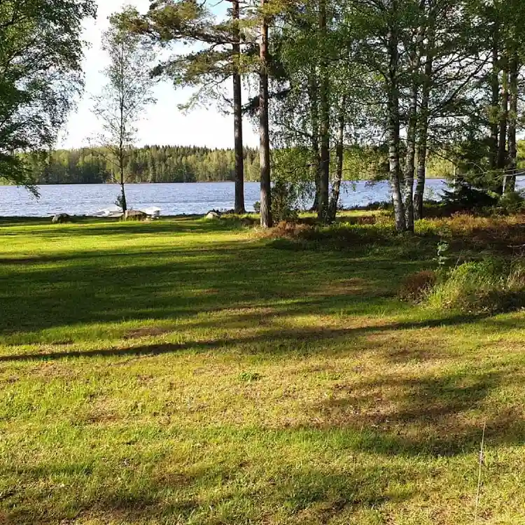 En grönskande campingplats med gräs och växter under en somrig dag i Orrefors.
