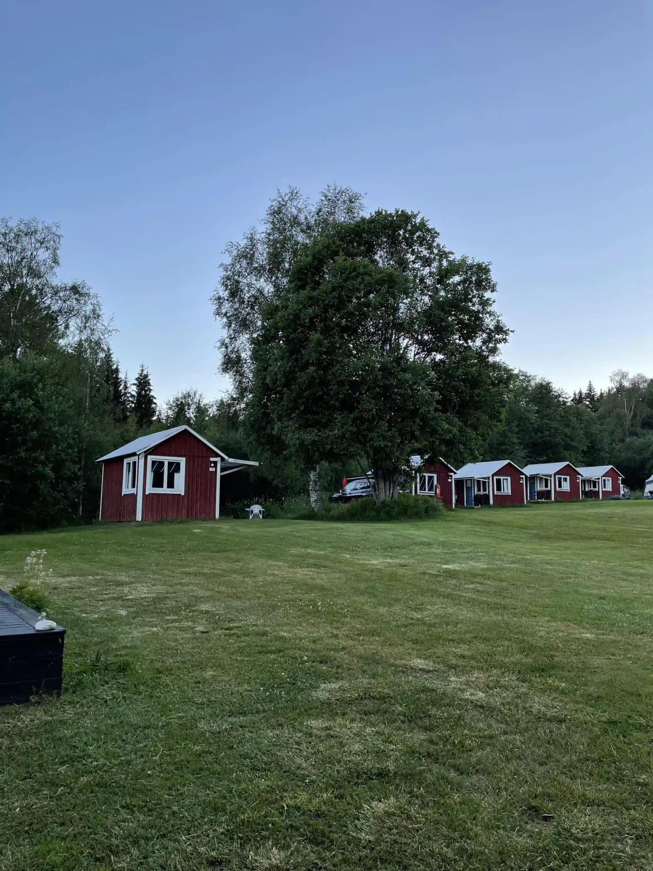 En grönskande campingplats med träd och gräsmattor, omgiven av trädgård och stugor på Storsjö Camping & Trädgård.