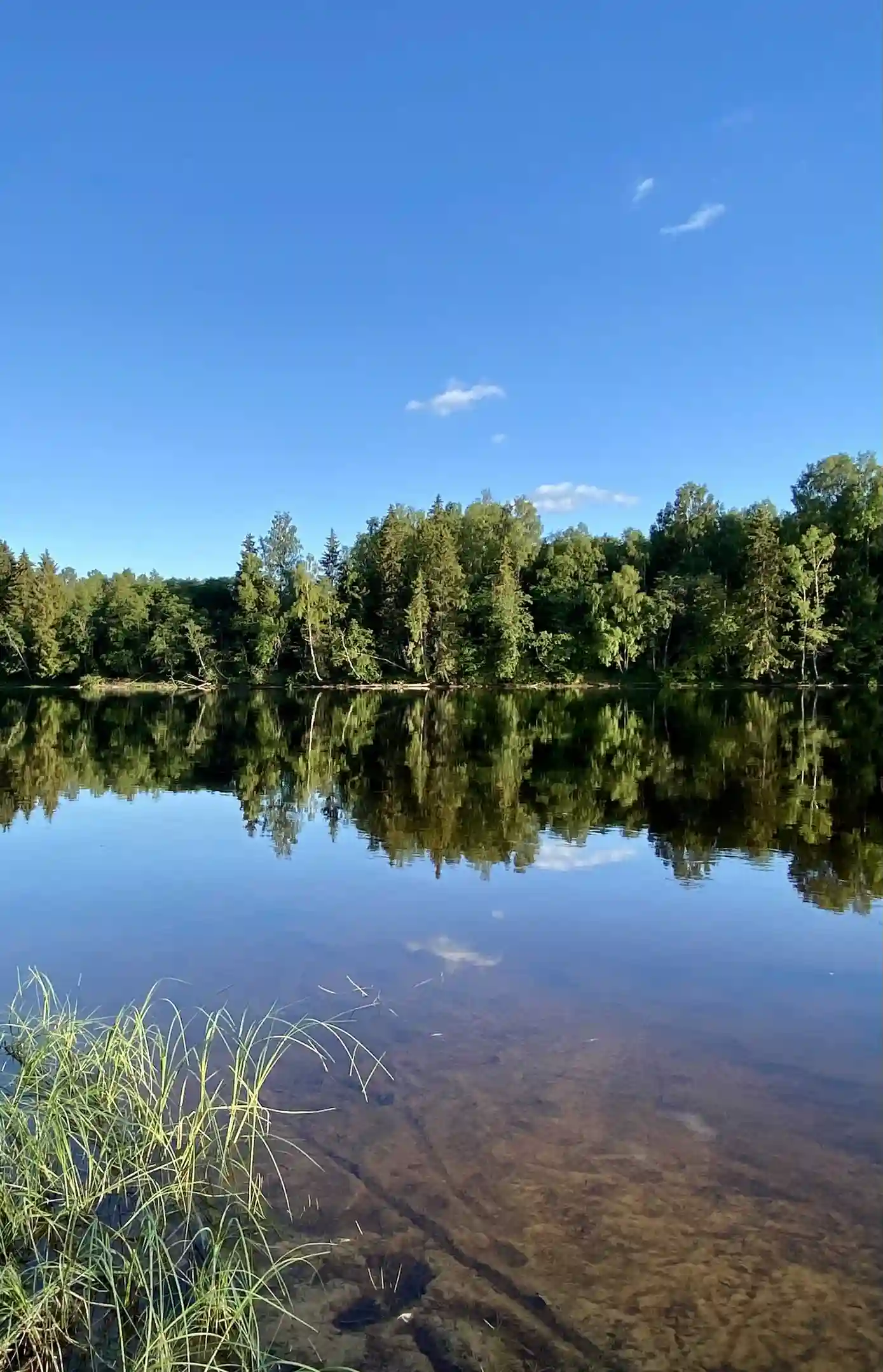 En solig sommardag vid Björkebo Camping med en klarblå himmel som speglas i det lugna vattnet omgiven av grönskande natur.