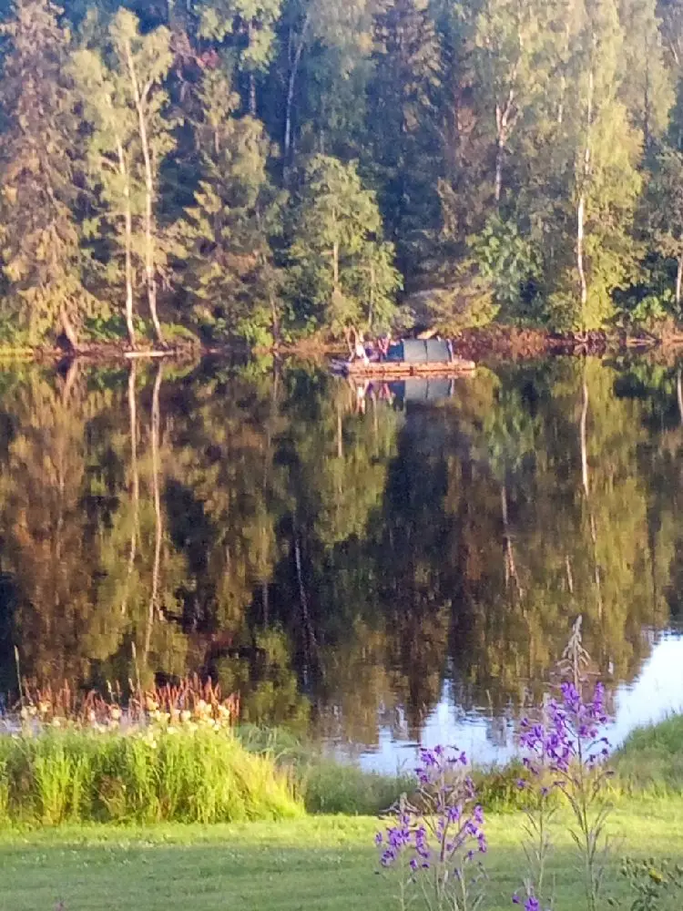 En naturskön sommarvy vid Björkebo Camping med träd och spegelblanka vattenytor i en lugn och rofylld miljö.