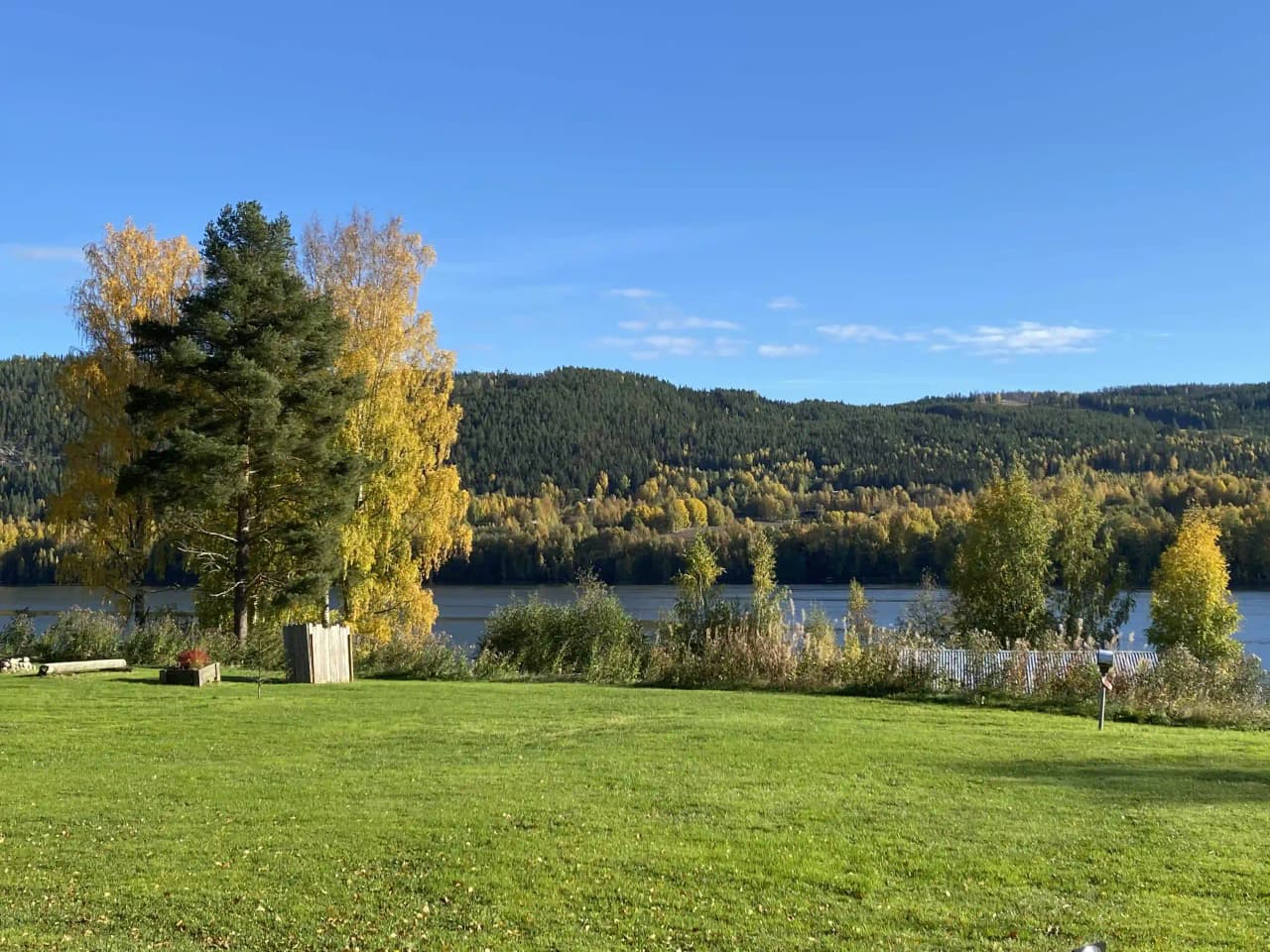 En grönskande campingområde vid Hammarstrand med gräsbevuxna ytor och utsikt över en sjö, omgivet av naturligt landskap och skog.