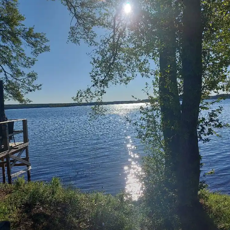 En vacker sjö vid Horndals Bad & Camping, med blått vatten omgiven av natur och grönska.