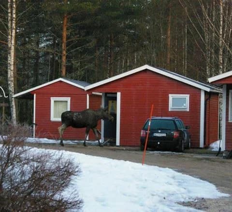 En snöklädd stuga av trä med ett enkelt tak och en dörr, omgiven av snö, vilket ger en vintrig och inbjudande atmosfär. Perfekt för en mysig vinterupplevelse på Camping 45.
