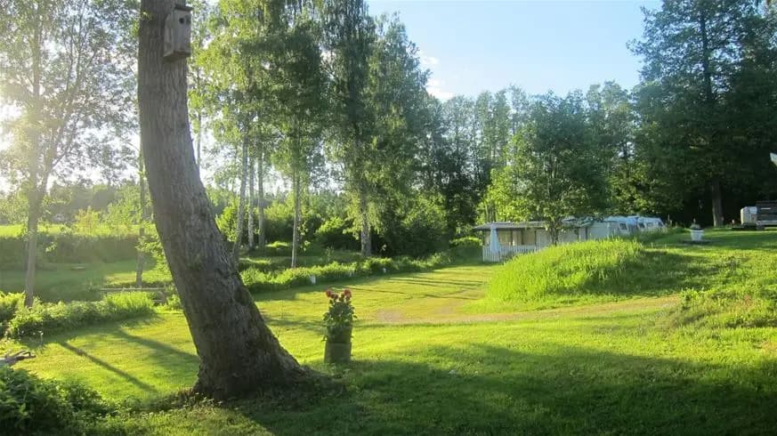 En grönskande campingplats med träd, gräs, buskar och öppna ytor en solig vårdag, perfekt för utomhusaktiviteter och avkoppling.