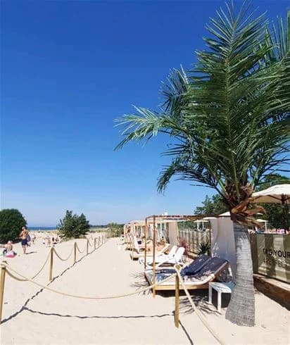 En solig dag på Tofta camping med sandstrand och parasoll, solstolar och utomhusmöbler. Perfekt för semester och avkoppling vid havet.