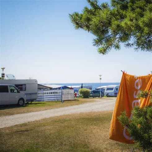 En scen från Tofta Camping som visar tält och husvagnar uppställda på ett grönskande campingområde. Besökare njuter av rekreation i skuggan under presenningar och ser ut att vara i avkopplande semesterstämning.
