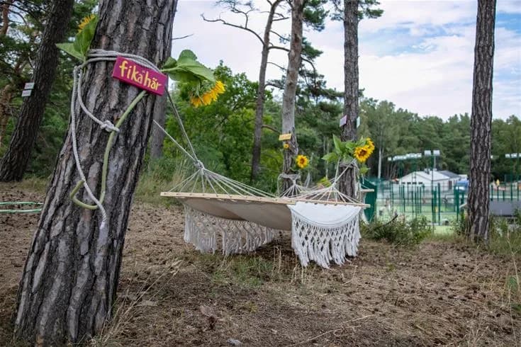 En hammock upphängd med rep mellan två trädstammar i en skogsdunge på Tofta camping.