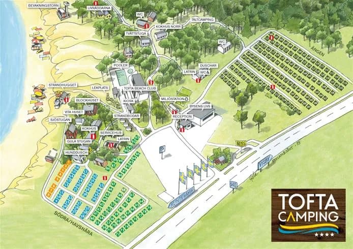 En solig dag på Tofta Camping med frodig grönska, palmer och strandkänsla. En avkopplande semesterort vid kusten med en tropisk atmosfär.