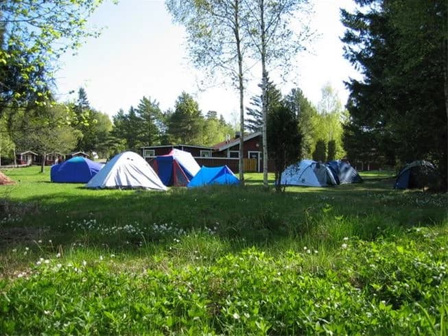 Bild av Kapellskärs camping med grönt gräs och omgivande träd. Tält är uppställda på marken, vilket ger en avkopplande känsla av friluftsliv och rekreation.