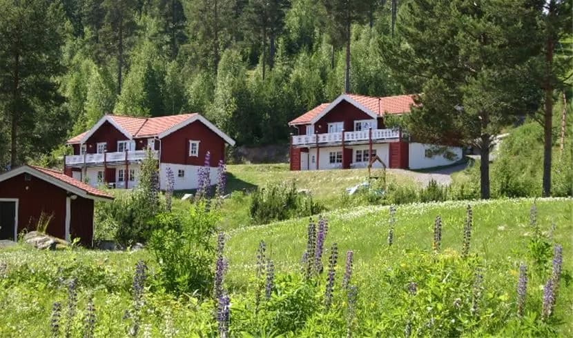 En pittoresk landsbygdsscen med grönskande gräs och träd omger en charmig stuga på Bjursås Berg & Sjö, med buskar och gräsmarker i förgrunden.
