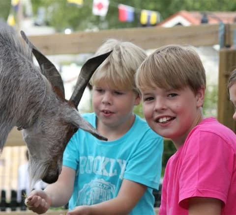 Ett barn som leker och har roligt vid en lekplats på Gustavsvik Resort, omgiven av ett staket med närhet till djur och grönska.