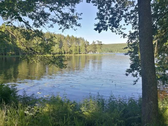Vy över Degernäs Camping med en glittrande sjö och omgivande grönska. Träd och somrig vegetation ramar in landskapet och ger en känsla av avslappnad naturmiljö.