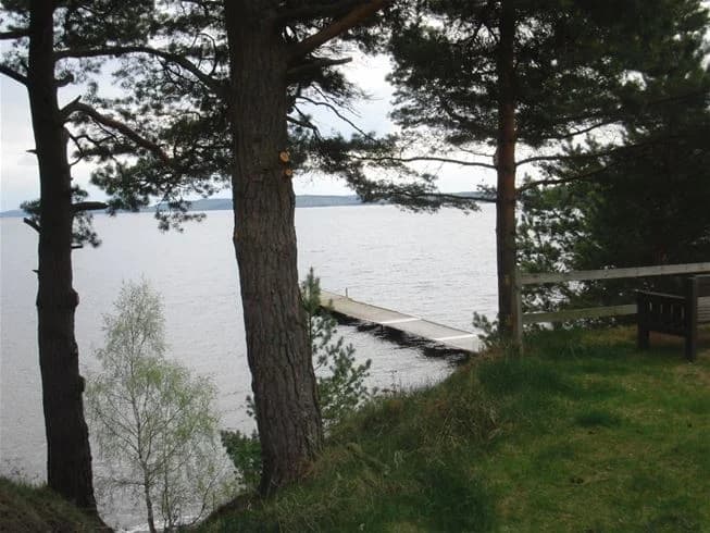 Vy över en naturskön sjö vid Malexander Camping, omgiven av gröna träd och en lugn strandlinje under en klar himmel.