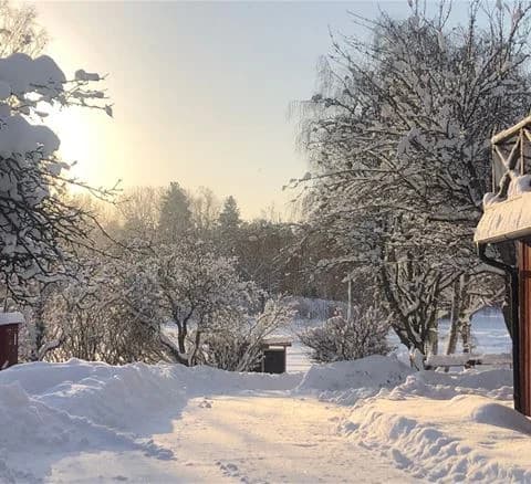 En snöig vinterlandskap med trädgrenar täckta av vit snö högs upp på en sluttning vid Gålö havsbad, tidig morgon.