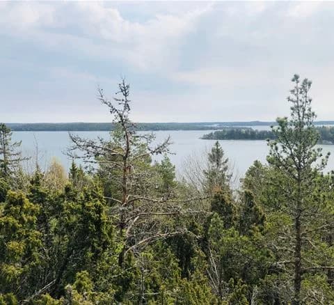 Bild av Gålö havsbad som visar en naturskön kustmiljö med himmel, träd, vatten och strandlinje. Området är omgivet av grön vegetation och skog, vilket bidrar till en vild och orörd känsla.