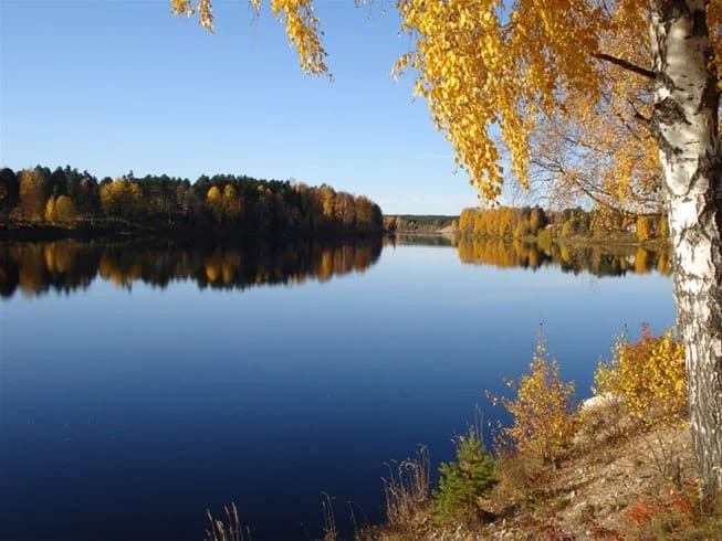 Bild av Ljusdals camping som visar en naturskön vy över ett blått vattendrag omgiven av grönska och en gul strandkant.
