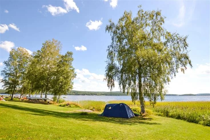 En vacker campingplats vid en sjö, omgiven av grönskande ängar och skog. Campingen ligger nära stranden med uppställda tält och husvagnar synliga. Träd och öppna gräsytor förstärker den fridfulla naturmiljön runt Charlottenberg camping & stugor - Haganäset.