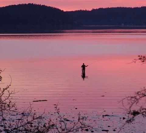 En fiskare står vid sjön vid Anfasteröd Gårdsvik i skymningen, omgiven av vatten som speglar den färggranna solnedgångens efterglöd.