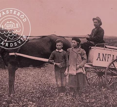 En häst med sele och arden står framför en vagn på Anfasteröd Gårdsvik, en lantlig miljö.