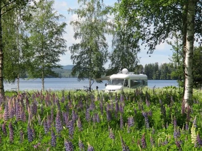 En grön och lummig campingplats vid en sjö med omgivande skog och ängar.