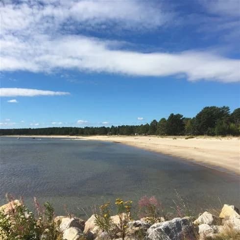 En vy över Sörfjärdens camping med en vidsträckt strand längs kusten. Havet skymtar i bakgrunden under en klarblå himmel.