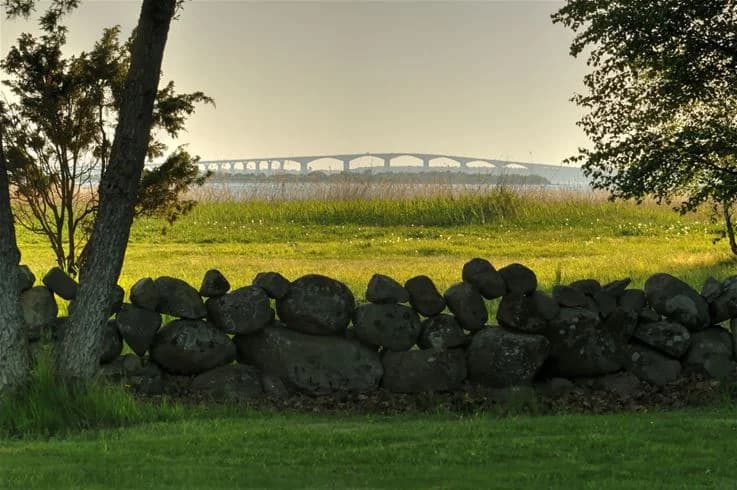 En vidsträckt grönsavanna med frodigt gräs under en klarblå himmel, som fångar den naturliga skönheten vid Saxnäs camping.