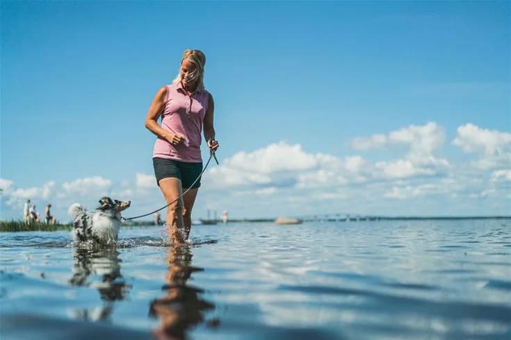En hund vid en sjö, omgiven av människor som njuter av naturen på Saxnäs camping.