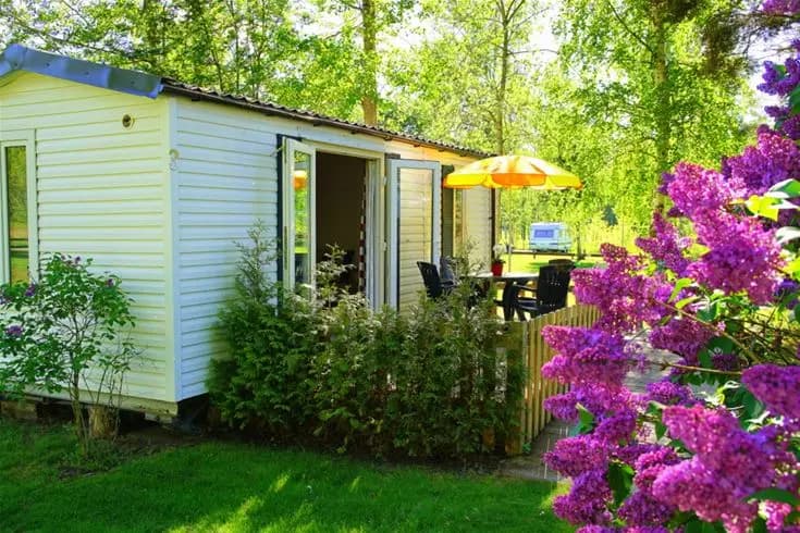 En lummig trädgård med buskar och träd i skugga, där små byggnader syns i bakgrunden på Otterbergets bad och camping.