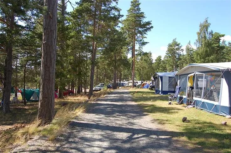 En campingplats med tält och husvagnar omgivna av skog, nära Tättö havsbad.