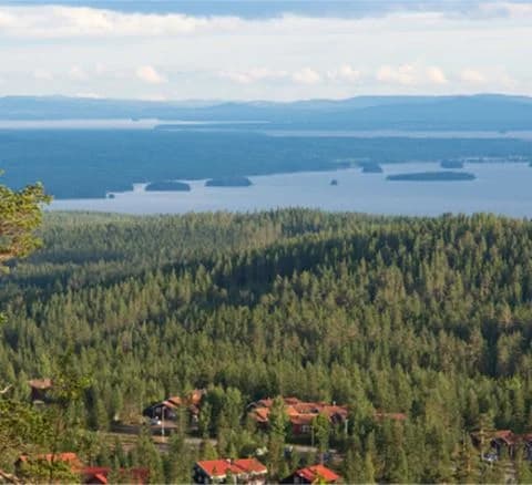 Vy från Orsa Grönklitt med en utsikt över kustlinjen med frodig skog av gran och lärkträd, kuperad terräng och havsbukt vid horisonten.