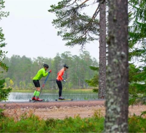 En naturskön utsikt över Orsa Grönklitt med vandringsled genom skog och våtmark.