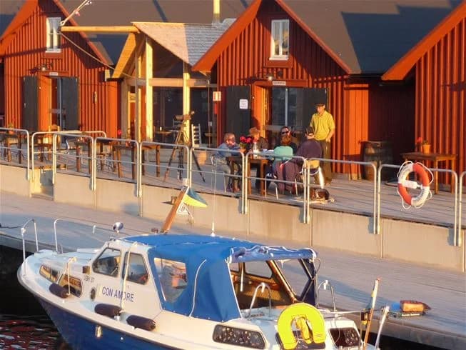 Bild av Västra Kajen Camping visar flera båtar förtöjda i en livlig marina. Vattnet är lugnt och i bakgrunden syns flera segel- och motorbåtar vid bryggan. Området är välorganiserat med båtplatser och omgivande hamnstrukturer, vilket framhäver den marina miljön.