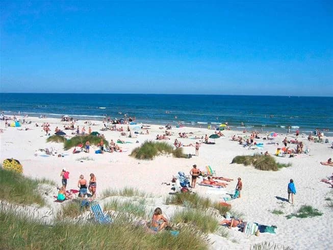En solig stranddag vid Borrbystrand camping där människor njuter av stranden, havet och fritidsaktiviteter.
