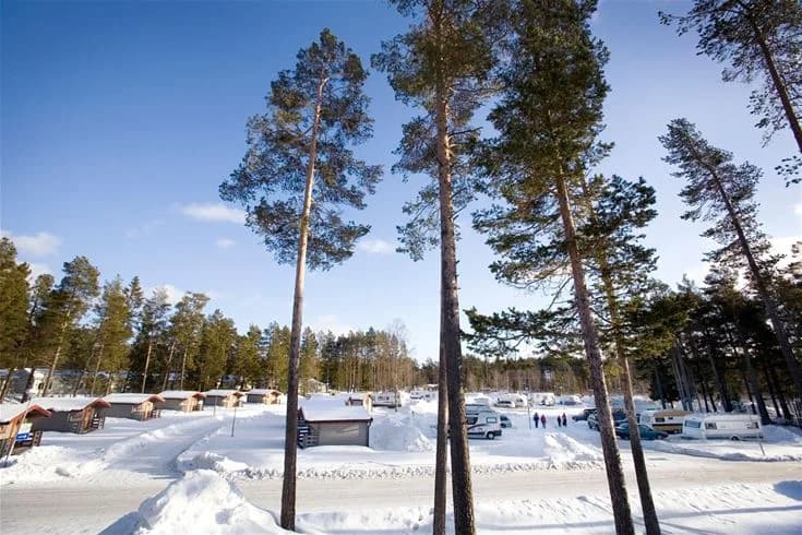 Vinterlandskap vid Östersunds camping med snötäckta träd, främst barrträd som granar och tallar, samt frostig mark.