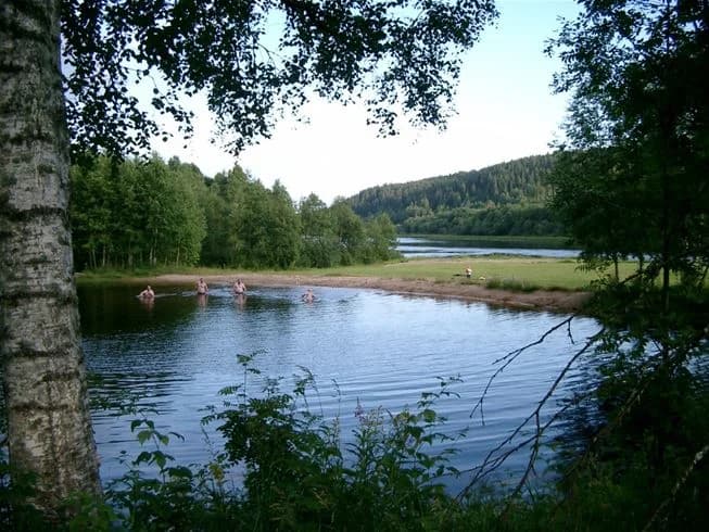 En vacker vy över en sjö omgiven av grönskande träd och växter vid Värnäs camping, perfekt för friluftsliv och avkoppling vid vattnet.